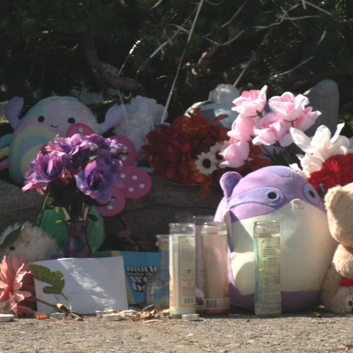 Makeshift memorial for mother killed near bus stop